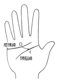 頭脳線から発する上向きの支線が感情線に結びついている 無料占い 本格鑑定