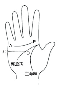 1本が弧を描く二重感情線 無料占い 本格鑑定