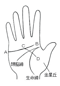 二股になり その一方が長い下降カーブを描き 金星丘まで届いている感情線 無料占い 本格鑑定