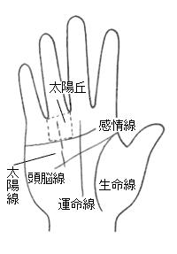 切れ切れになっている太陽線 無料占い 本格鑑定